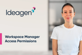 Workspace Manager Access Permissions
