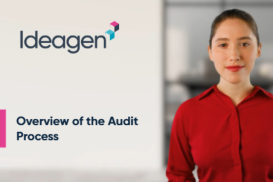 Overview of the Audit Process