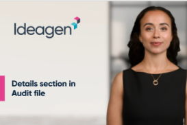 Details section in an Audit file
