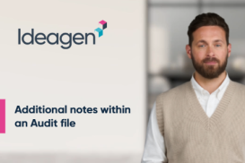 Additional notes within an Audit file