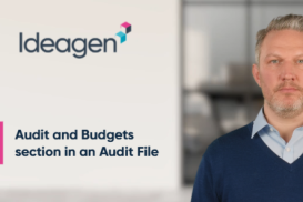Audit and Budgets section in an Audit file