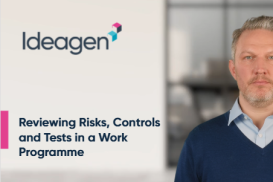 Reviewing Risks, Controls and Tests in a Work Programme