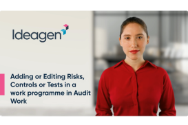 Adding or editing Risks, Controls or Tests in a work programme